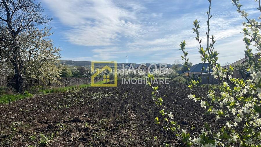 Teren intravilan 2554 mp, com. Prajesti, jud. Bacau - 14