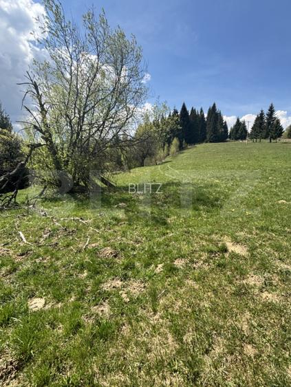 Teren 3200 mp, intravilan+extravilan, Vatra Dornei, str. Roșu - 2