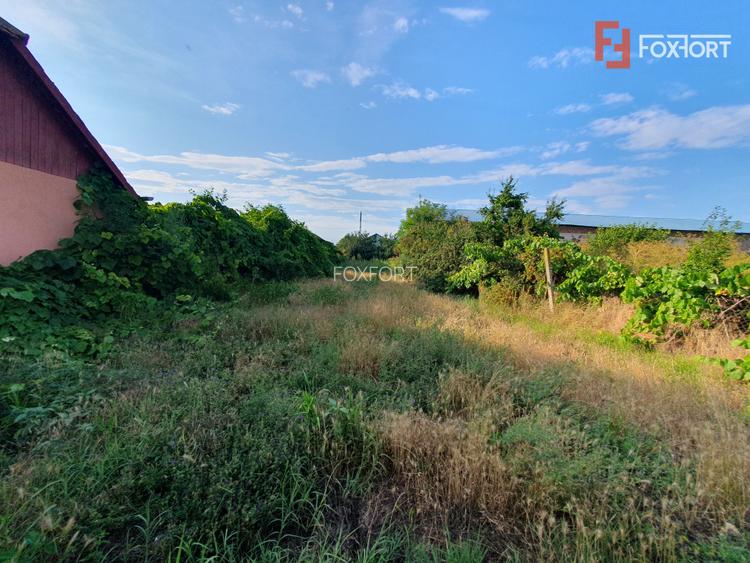 Casa individuala cu 3 camere, 130 mp utili, teren 1238 mp, in Livezile Timis - 28