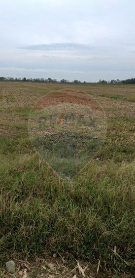 Teren extravilan 3000mp de vânzare la Sântion