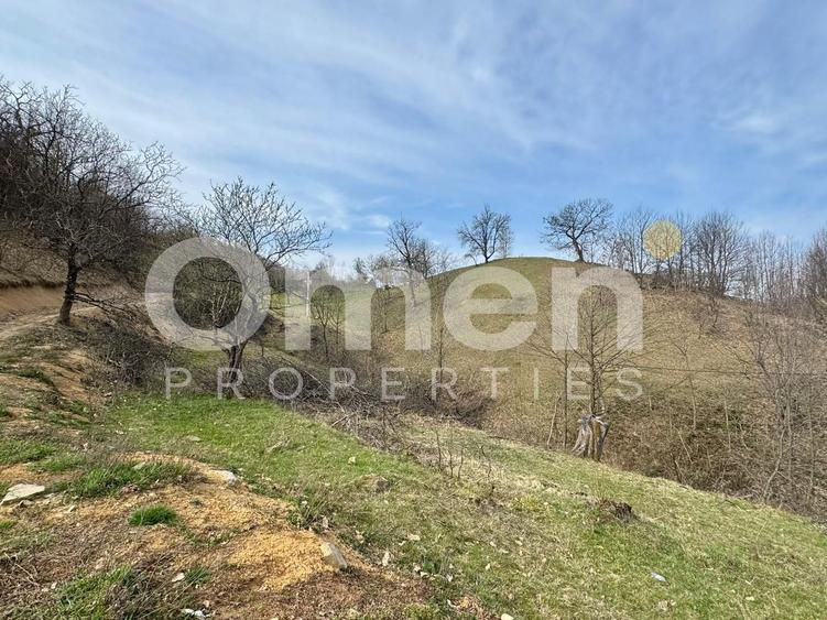 Teren intravialn | 6476 mp | Ulmoasa | zonă superbă
