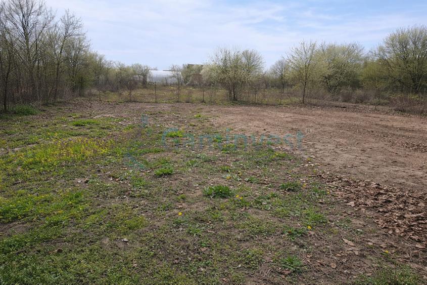Casa cu teren de 1350 mp de renovat in Gepiu, la 18 km de Oradea