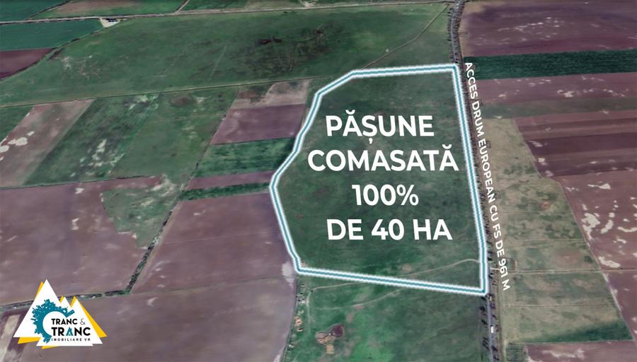 Teren PASUNE de 40ha, Comasat 100%, cu FS de 961 ml la Drumul European