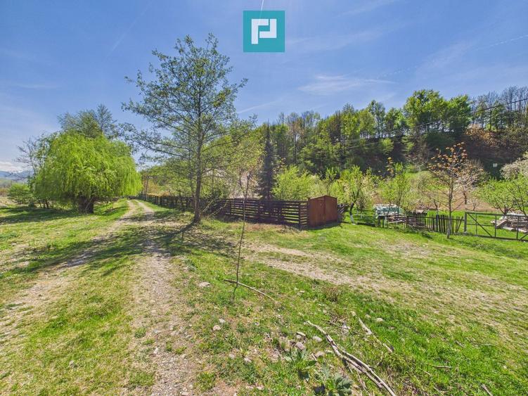 Casă Câmpani, 8000 mp teren, la poalele Apusenilor