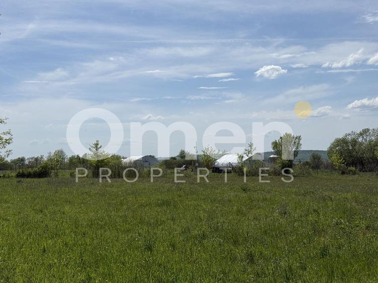Teren intravilan | Bozanta Mică | 1000 mp | perfect pentru casa | Comision 0%