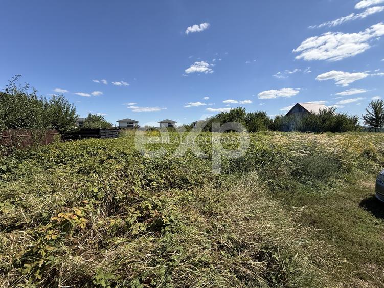 Teren intravilan de vânzare – Iași, Vorovești | 981 mp | Deschidere 50 ml - 2