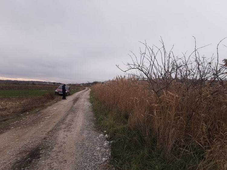 Terenuri in Rachiti