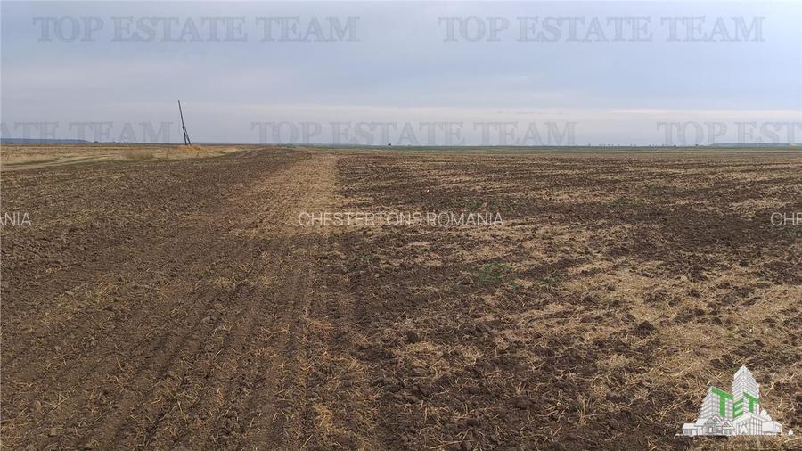 Oferim spre vanzare 6 loturi de teren extravilan (agricol) in Petrachioaia ILFOV - 10