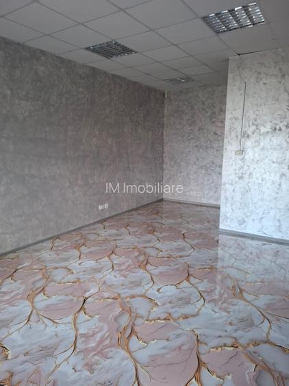 Elisabetin- Spatiu Birouri- 220 mp- Clasa A - 8