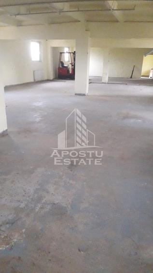 De vanzare / inchiriere hala industriala in Mosnita Noua, jud. Timis