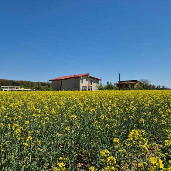 Ciolpani, spre Izvorani - COR, vanzare teren 5000mp.