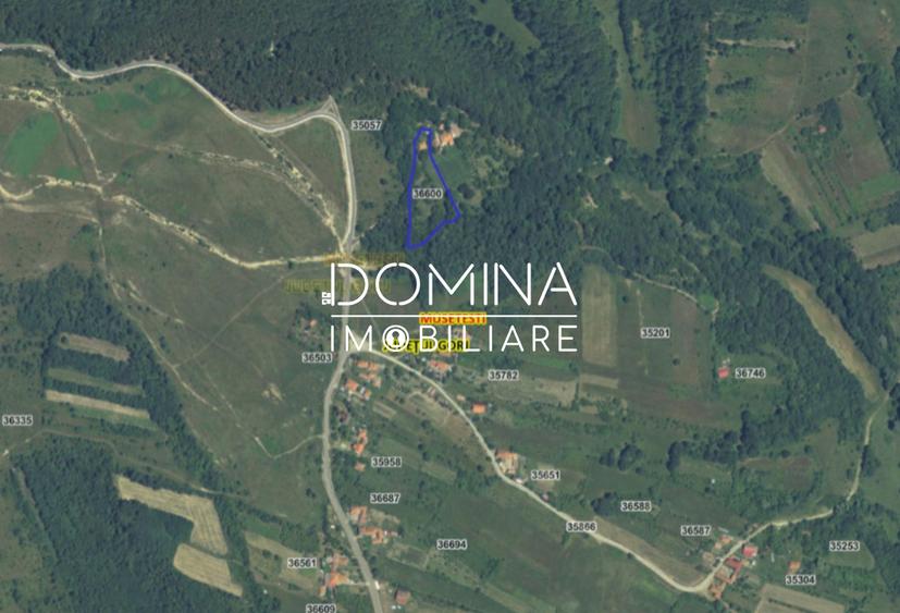 Teren generos 4790 mp + casă tradițională, în loc. Mușetești