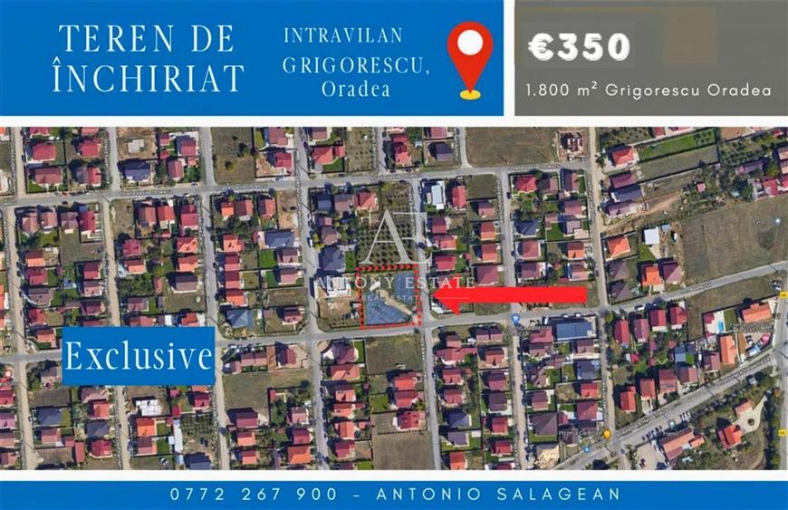 Antony Estate | Teren Intravilan de inchiriat - Grigorescu, Oradea
