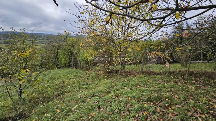 0 % comision, Lot format din 3 parcele, zona Antonio Gaudi-Borhanci - 5