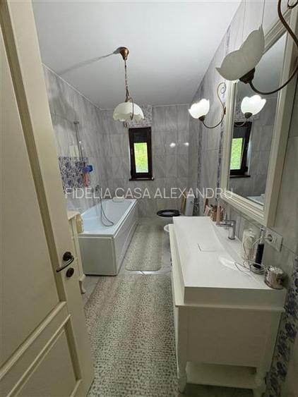 Vila  de vanzare  Bucium,369mp utili,1500mp teren,curte amenajata - 29