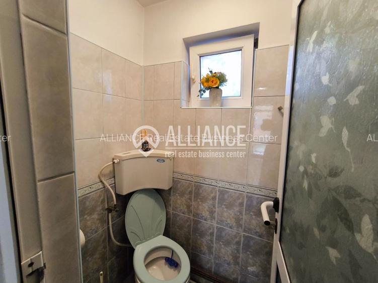 VIILE NOI - casa cu o curte generoasa disponibila imediat - 13