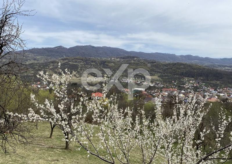 Oportunitate investiție în Corbi, Argeș | 22.000 mp teren în zonă de poveste - 4