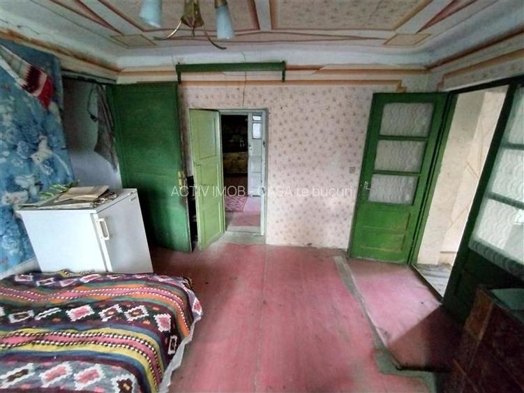 Bogodint, Casa cu 4 Hectare Teren, Pret Negociabil - 25