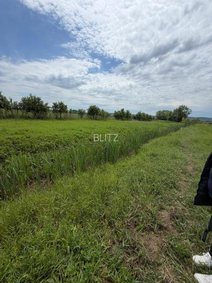 Teren de 6000 mp, vizavi de gara din Filiasi - 9