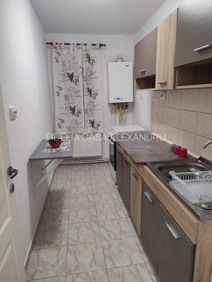 Garsonieră (1 cameră) de închiriat, Piața Dacia, recent renovată, centrală propr - 5