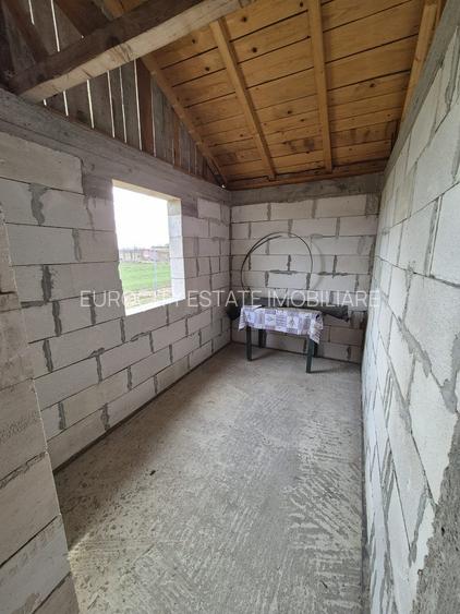 Caciulati, vanzare casa 3 camere la rosu, 400mp. teren - 18