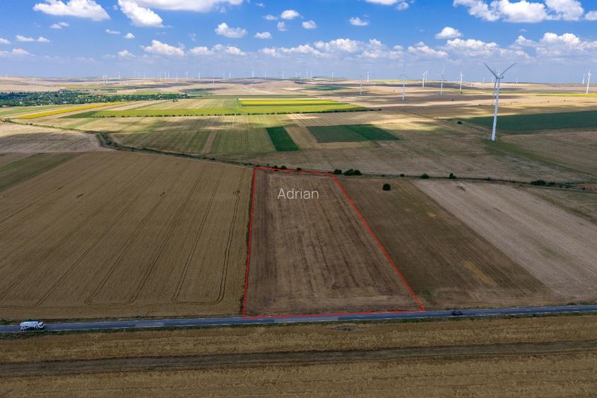 Vând teren agricol la șosea de 30.000mp în Iazurile comuna Valea Nucarilor