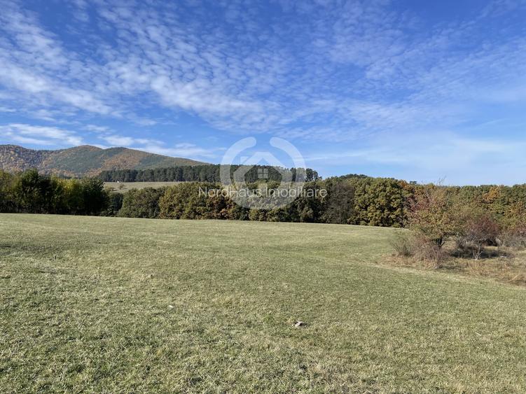 Teren Extravilan | Rășinari – Poplaca | Cadru Natural Unic - 2