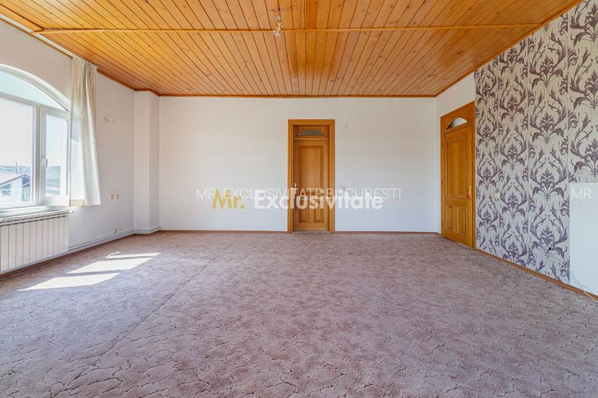 Domeniu privat 5.000 mp, cu reședință de 625 mp și piscină, Corbeanca - 33