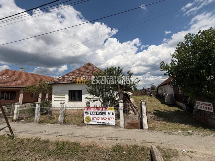 Casa de vânzare in Livada , Satu Mare - 58