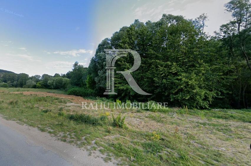 Teren Extravilan de vânzare | Șoimi | Bihor