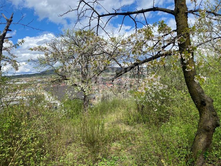 Teren intravilan pentru constructii de vanzare in Gruia, Cluj Napoca