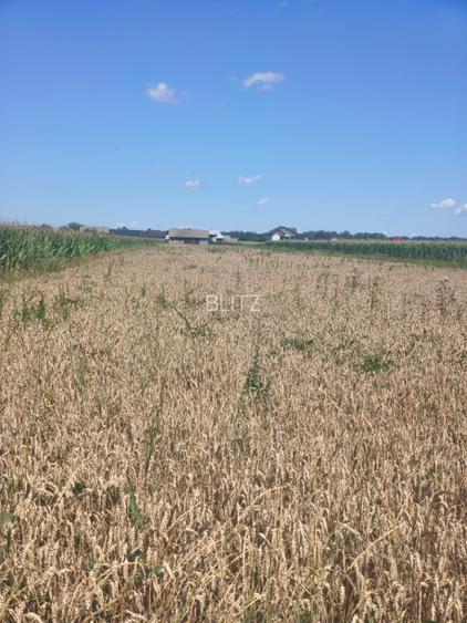 Teren intravilan, 10000mp, zona Maneuti, Radauti