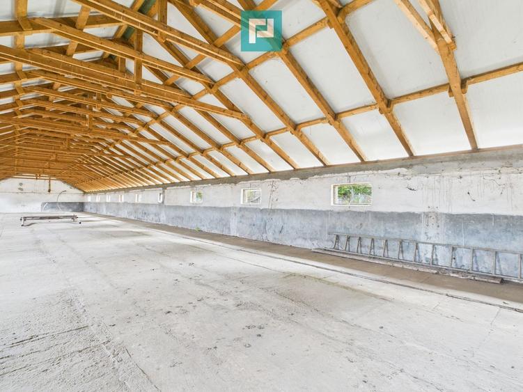 Hală pentru producție / fermă zootehnică  - Variaș