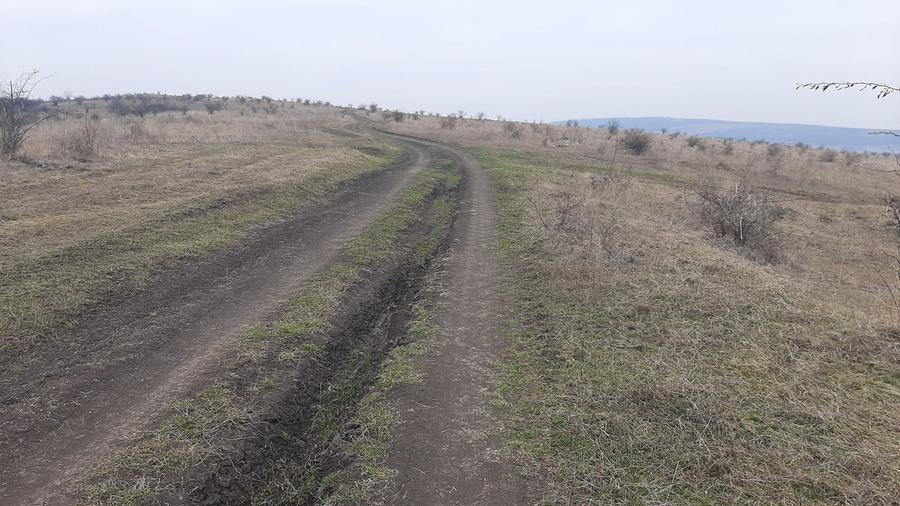 Teren agricol pentru investitii, zona Valea Calda -Iris