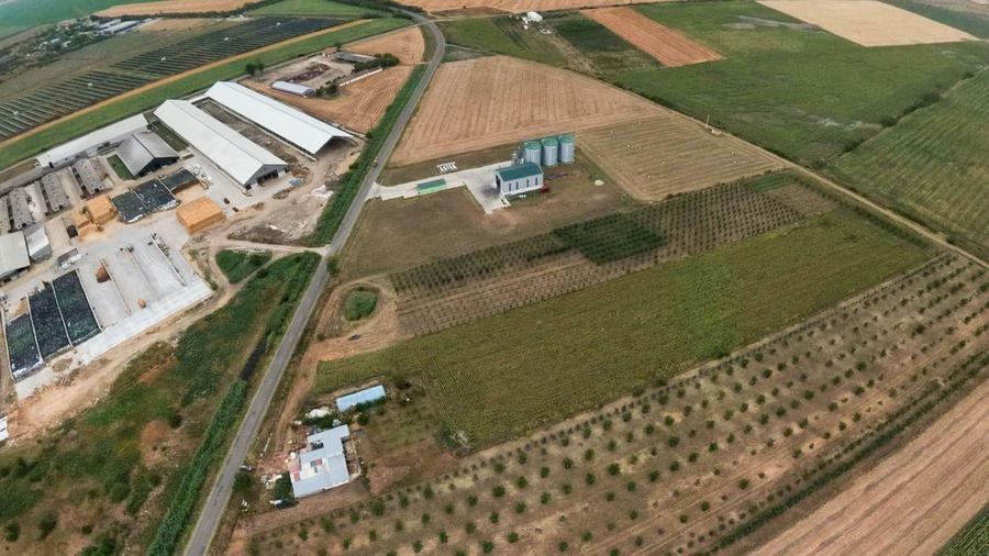 Livadă de 3,6 hectare în Iratoșu – Oportunitate