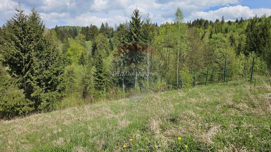 Teren 4048mp Campulung Moldovenesc, Strada Izvorul Alb, Suceava - 9