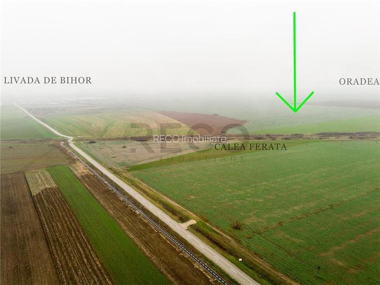 RECO Teren extravilan 5800 mp Livada de Bihor - 2