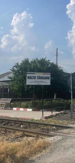 Vanzare teren intravilan Cernica_Tânganu, lot 954mp