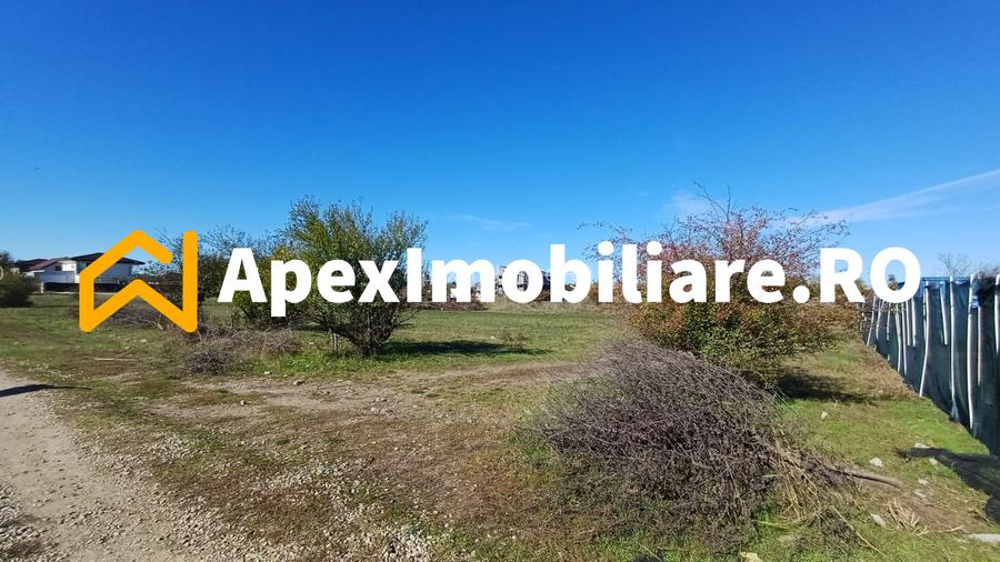 Corbeanca - Tamasi | Teren 1225mp, deschidere 44ml | Utilitati la 50m - 12