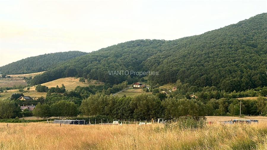 Oportunitate Teren Pt Investitie 3408mp in Gura Raului - 6