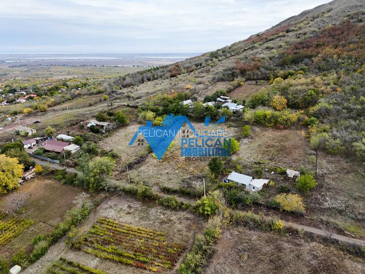 Teren intravilan NICULITEL, zona deosebita, 3044MP - 8