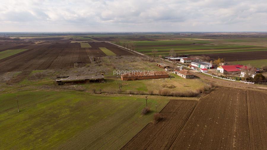 Fermă cu teren intravilan de 35000 mp în Mișca - 9
