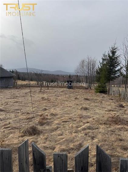 Teren intravilan I 2433 MP I Dealu Negru - 3