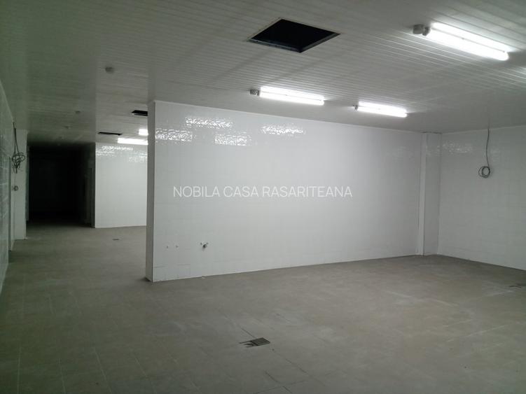 Spatiu industrila-servicii Pantelimon-Delfinului - 5