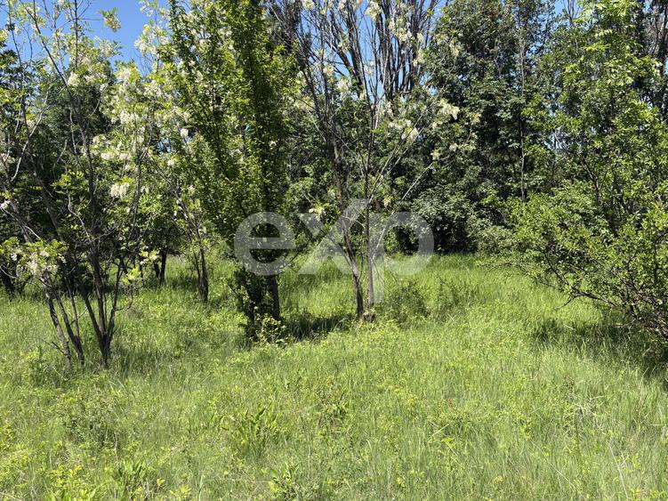 Teren 2.200 mp lângă pădure, la 11 km de Pitești – ideal pentru casă și relaxare