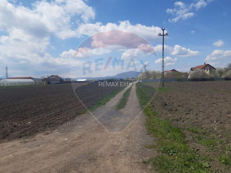 Teren 2730mpx2  Brasov-Stupini / Strada Plaiului - 7