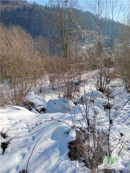Teren Intravilan Sinaia 2255mp , ideal rezidenta pentru un refugiu montan,