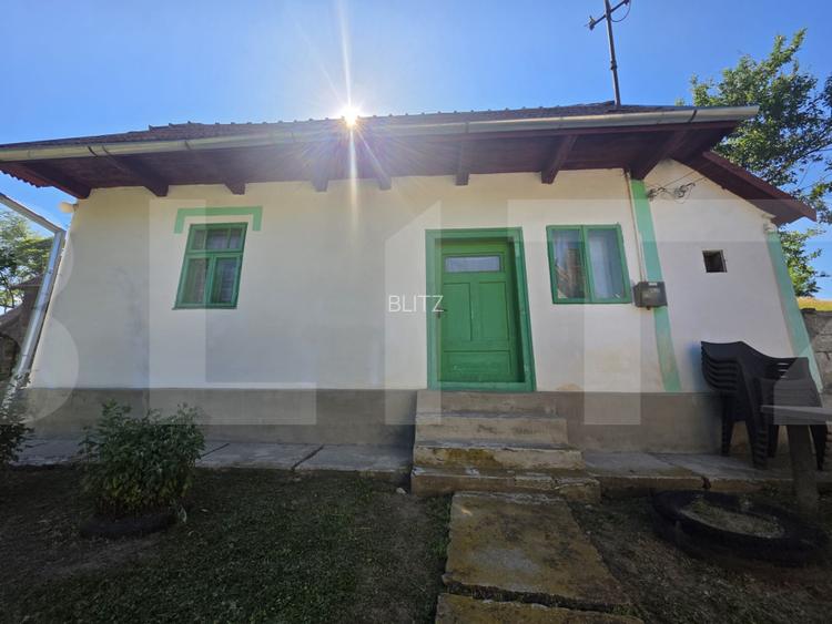 Casa traditionala din lemn in satul Zoltan - 4