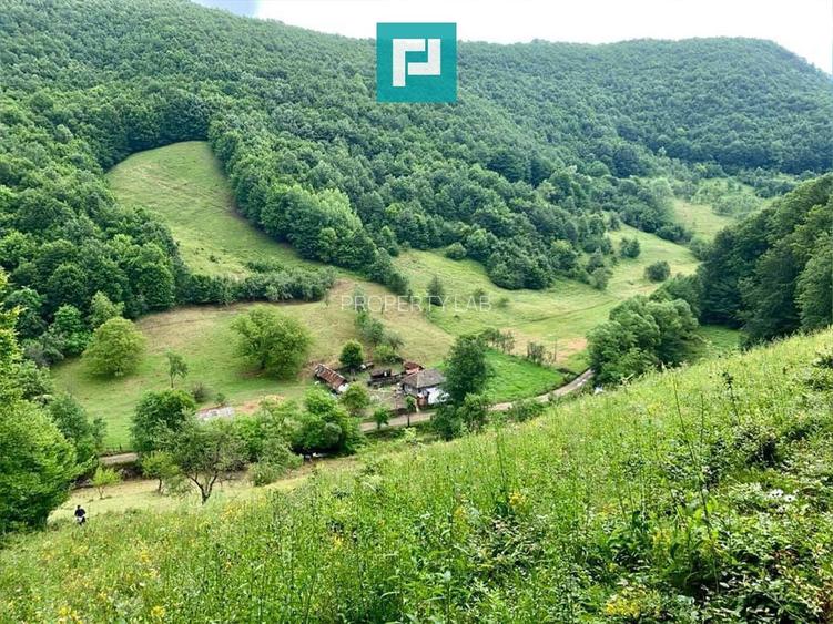 Teren  pentru investiții  în Luncoiu de Jos - 5