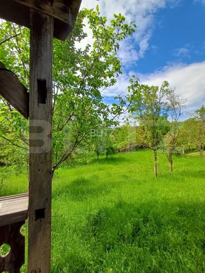 Casa 3 camere si teren 4873 mp  în Pietroasa, Moldovenești - 19